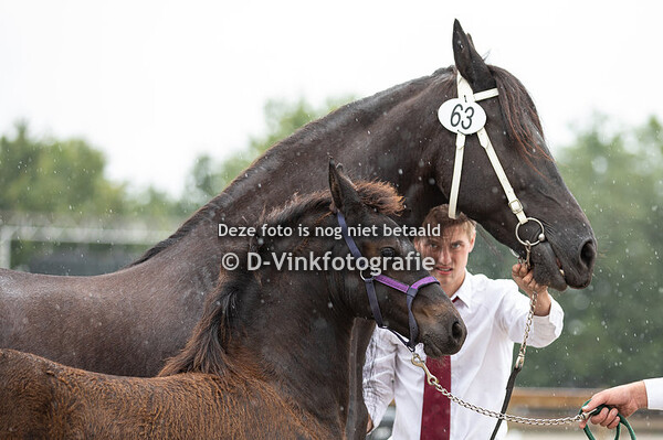 63. Renske van Rijsingen