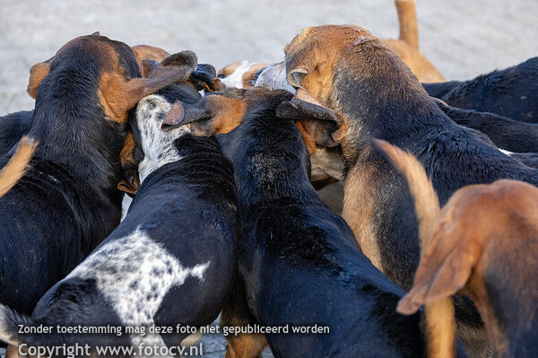 Slipjacht Liemers 2025 - JVS