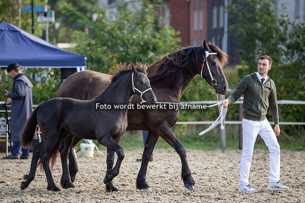 09. Maxime van de Meersche hoeve