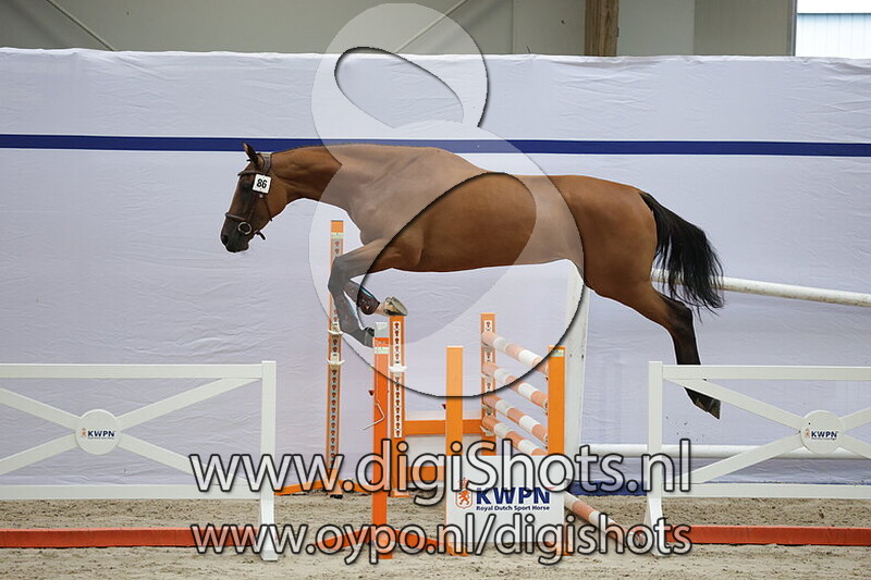 Sabarella v. Mindset ES