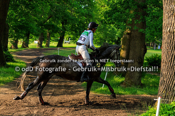Maarsbergen Horse Trials CCI2-S 07-06-25