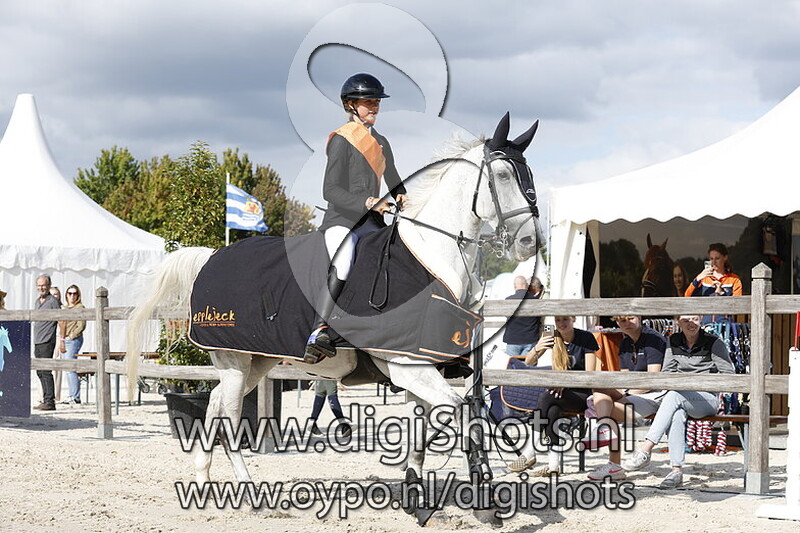 Paarden 1.40 m barrage