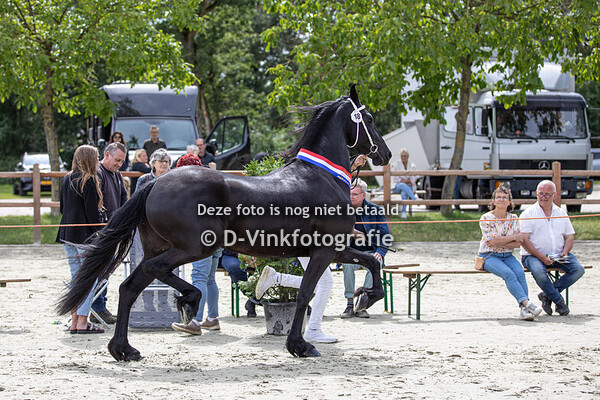 18. Vaya van de Hoeksche Hoeve
