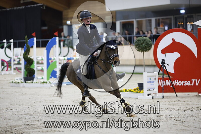 De Kaatstede Dylaila