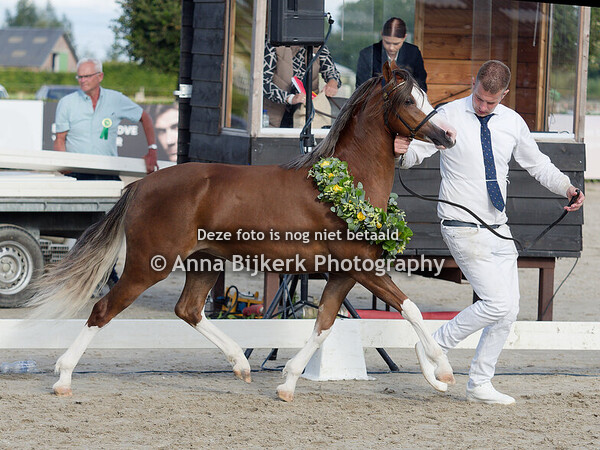 23-08-2025 Kampioenschap