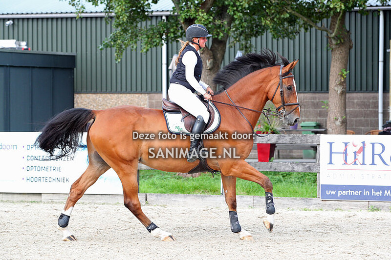 Reigersburgh 16-09-2023 springen paarden 120 cm