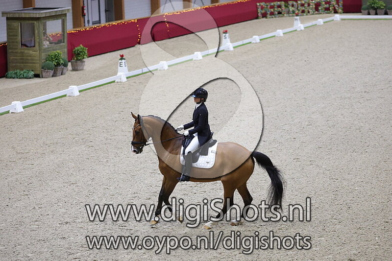 Lord United vd Vogelzang