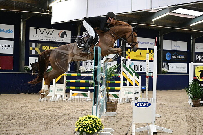 Maxime Thefenne - Vi-Star Z