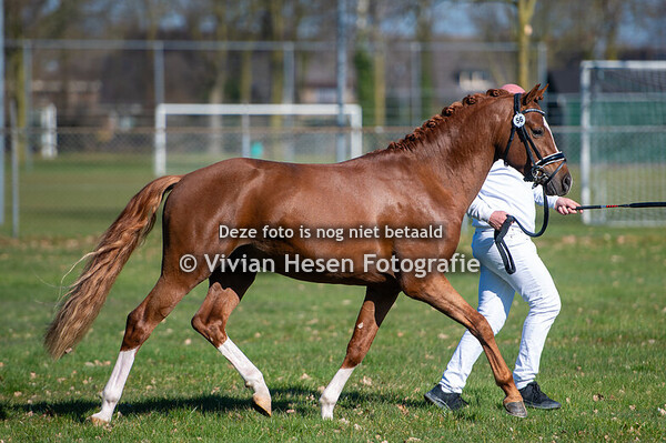 Na- en Herkeuring NWPCS