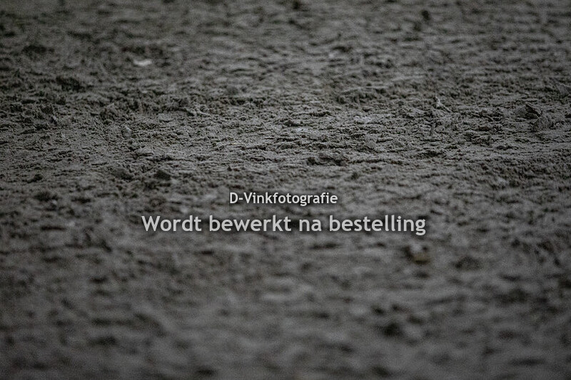 Nadia Geuze - Donaugold A.T.