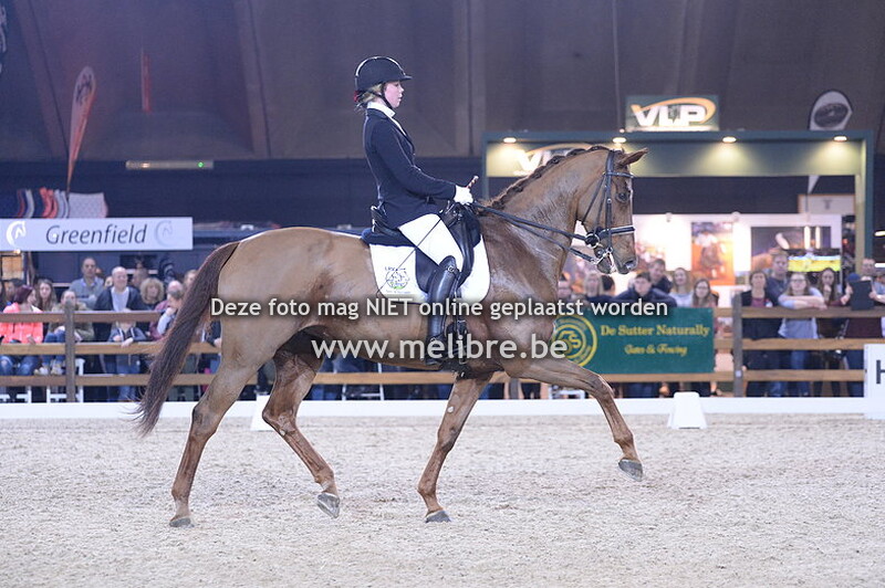 JM18 -ZAT- Elite Cup VLP-LEWB Superfinale Dressage