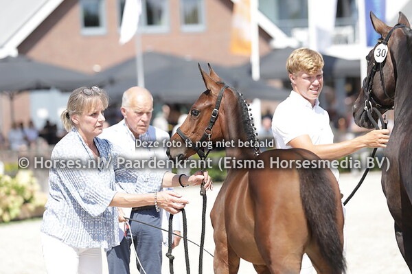 30 Tinkerbel vd Watermolen (v. Mees x Watermill Stunning) (1)