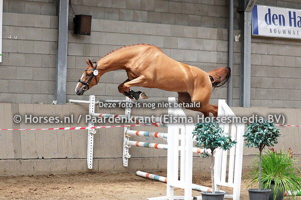 7 llandra ES (Janeiro x Gallandra v. Falaise de Muze)