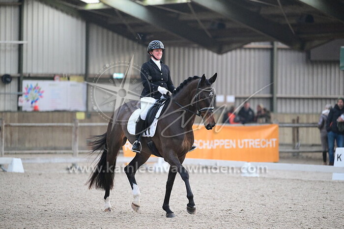 Pauline Oudijk - Roseville Lady