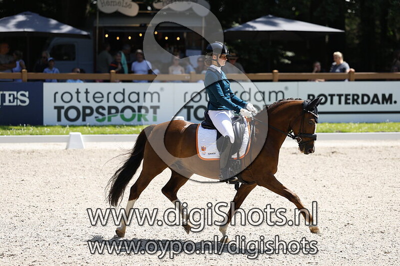 Strandgaards Do It My Way