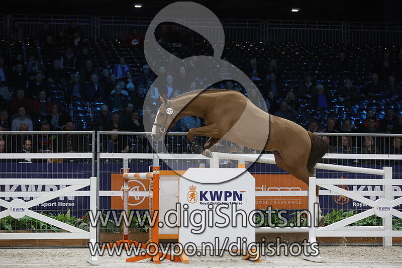 Red Bull v. Tangelo Van De Zuuthoeve - 147