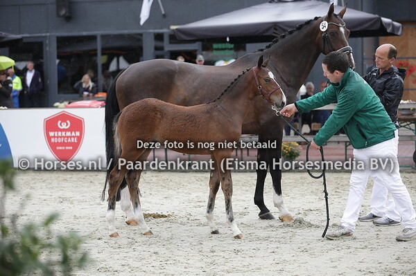 54 Papi Durant KBL (Johnny Dep x Edurant v. Samarant)