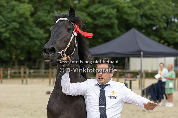 15. Veerle D van Rijnwoude