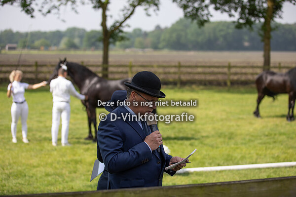 Rubriek 6a 3 jarige veulenboekmerries
