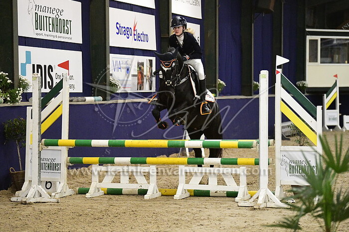 Floor Meesters - Floris