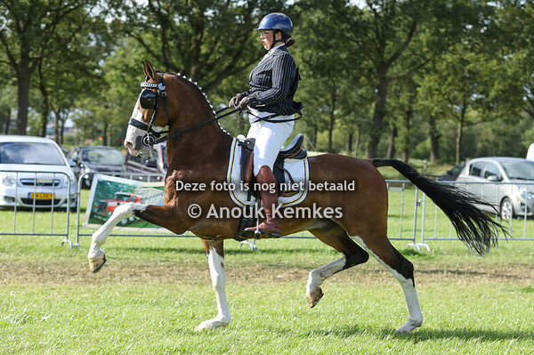 TP Onder het zadel ( show )
