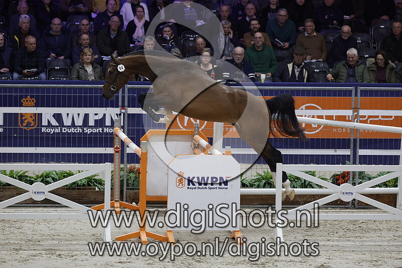 Princeton v. Hardrock Z - 094