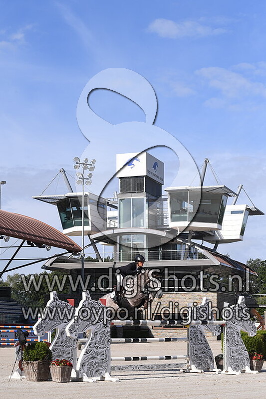 Junior berlin van de doornhoeve