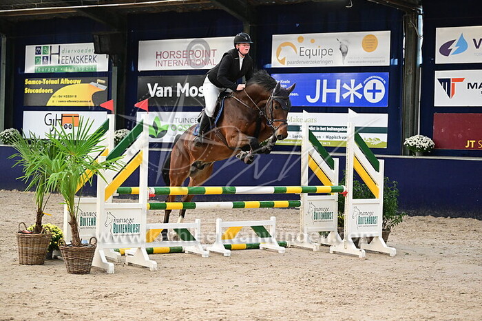 Amy Tewis - Alstar VD Z