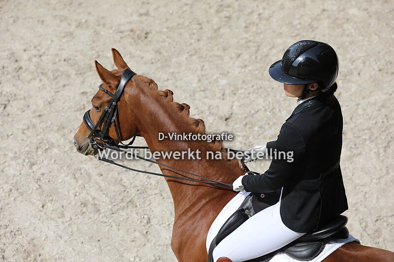 Zuid Holland Cup Rotterdam