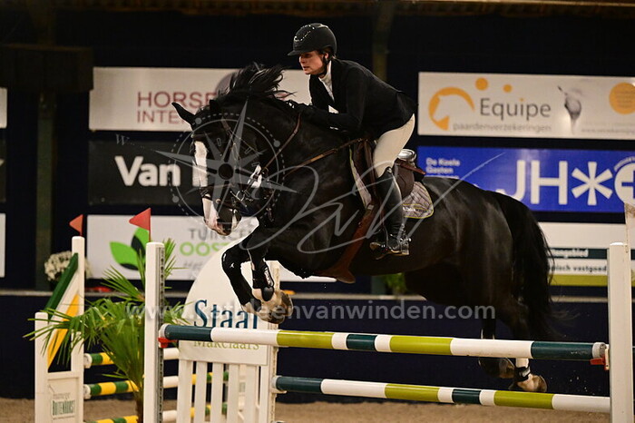 Kasey Ament - Cayuse Waldstar Z