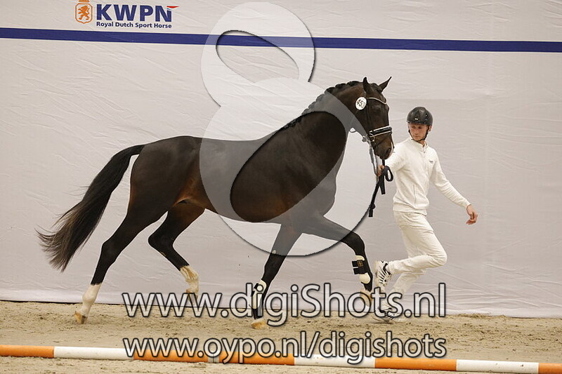 Sinbad v. My Blue Hors Santiano