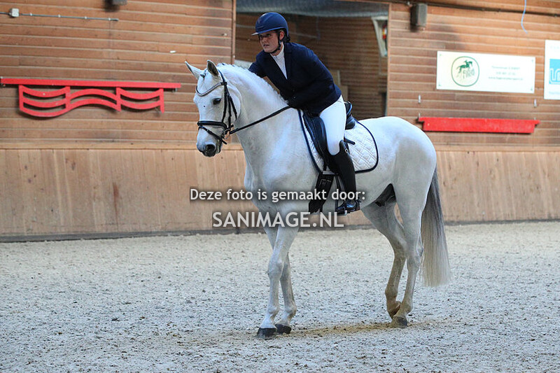 PV Midland Dressuur 13-11-2022 13.00 uur