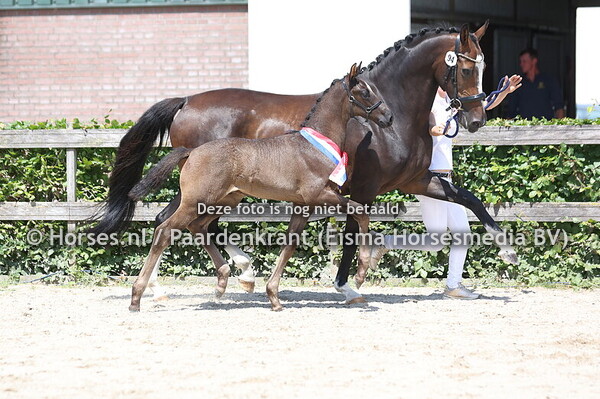 3 & 4-06-25 STBK en CK Houten