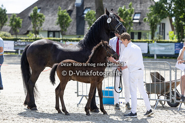 32. Edgar van 't Mulligen