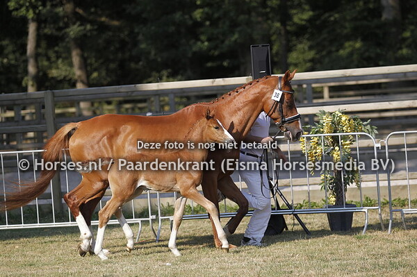 38 Niniatella v Nickson