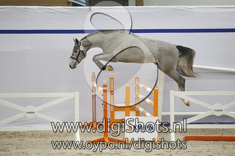 Sacharov ES v. El Torreo de Muze