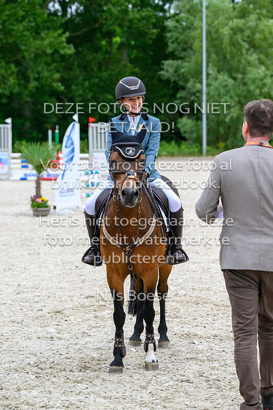 5 Klassiek pony's 0.70-0.80 cm cat. ABC MB-ZB