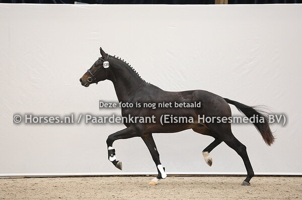 539 Painted Black x Uphill