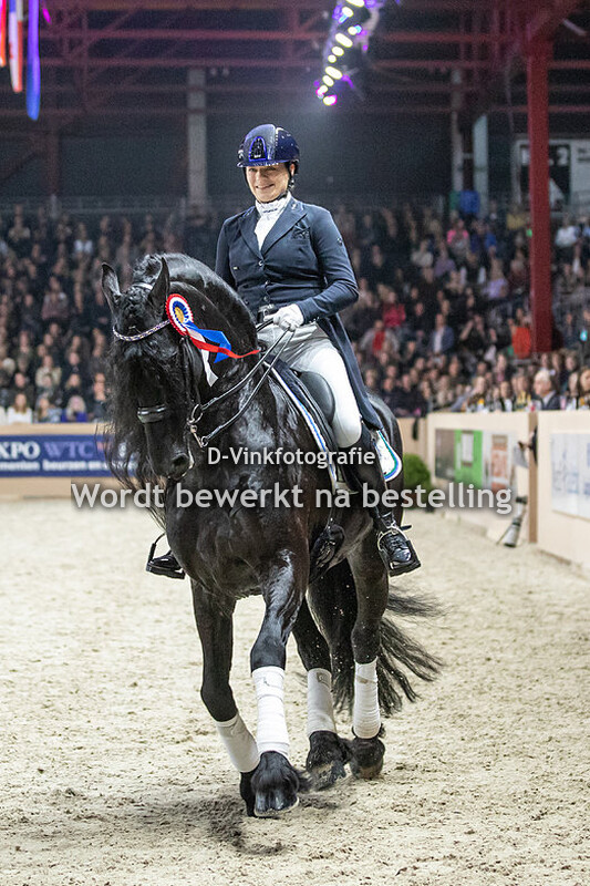 Hengstenkeuring 2023 OHZ Gemma Sas Meinte 490