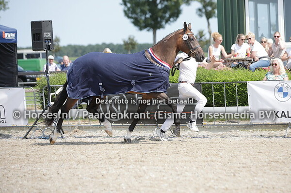 59 Onassis (High Shutterfly x Key of Live v. Forsyth)