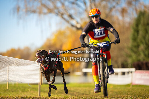 Bikejoring masters I