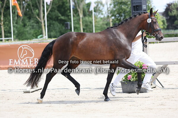 57 Rosalina (Furswt Dior x Cherilyn v. Painted Black)