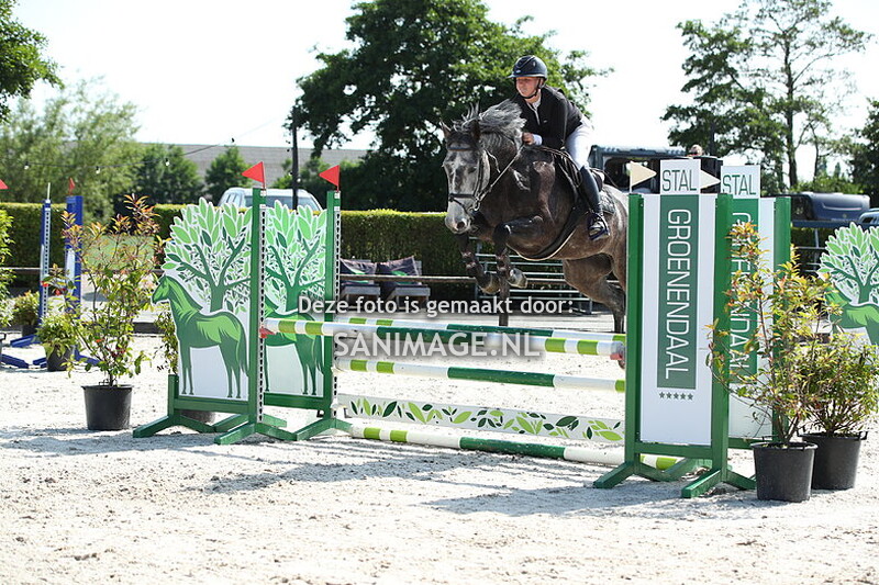 Stal Groenendaal Springen Paarden 20-06-2025 80/90 cm Stijl