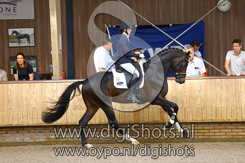 Mister Diamond v. Sir Donnerhall