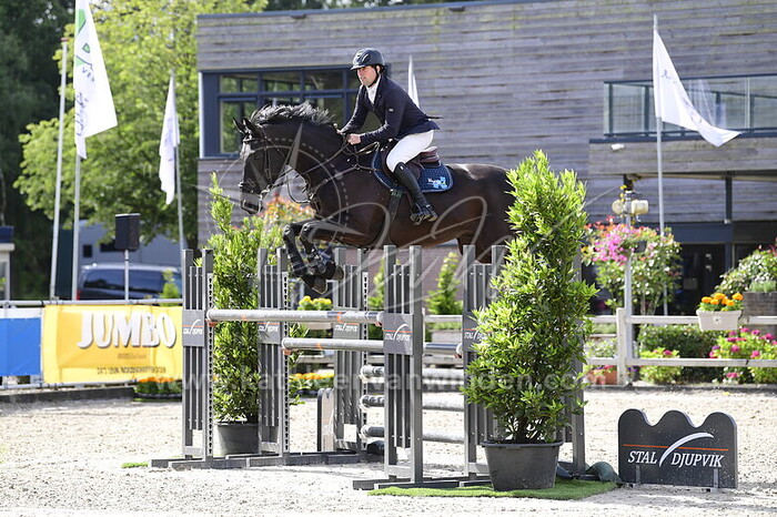 Mitchel Sonneveld - Dalleb Z