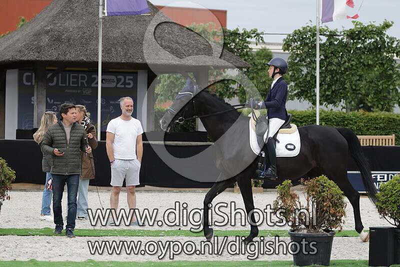 Dior van de Selvie Hoeve