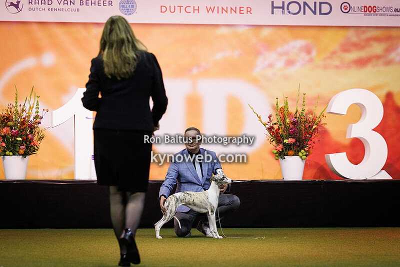 2022_11_26 Winner (Saturday)