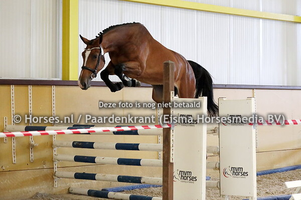 26-05-23 Stamboekkeuring De Steeg