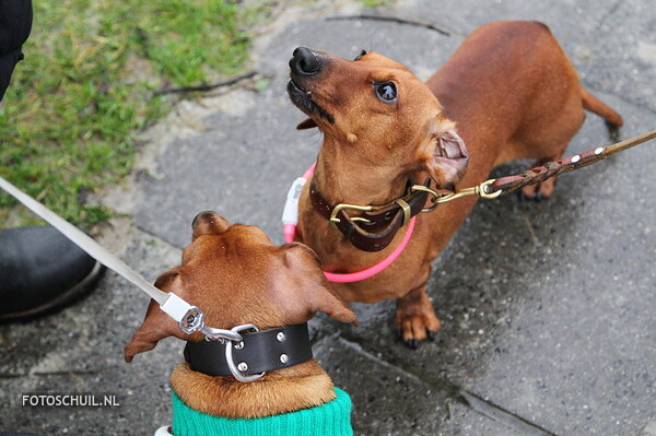 Kerstwandeling Takkies 050