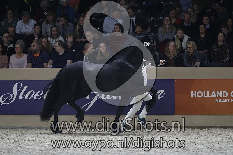 Wessel van de Demro stables